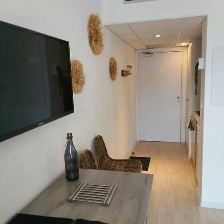L'ethnik--studio Confort--clim--parking--wifi Лурд