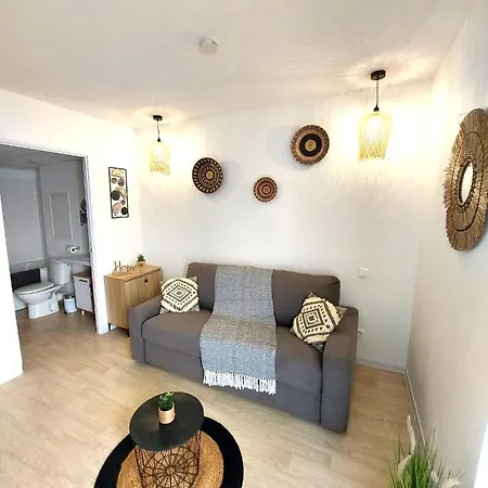 Apartament L'ethnik--studio Confort--clim--parking--wifi *