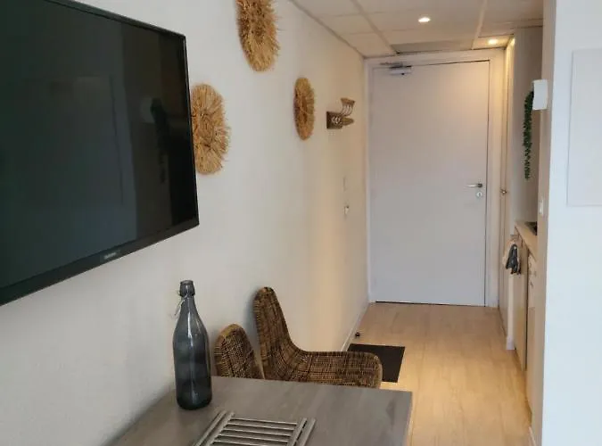 L'ethnik--studio Confort--clim--parking--wifi Lourdes