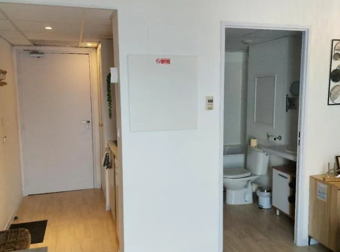 L'ethnik--studio Confort--clim--parking--wifi Lägenhet *